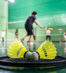 amritvas-palladio-Badminton Court