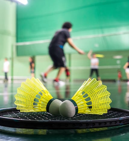 amritvas-palladio-Badminton Court